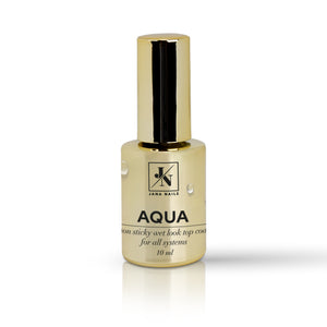 "Aqua" - Wet Look Top Coat - 10ml