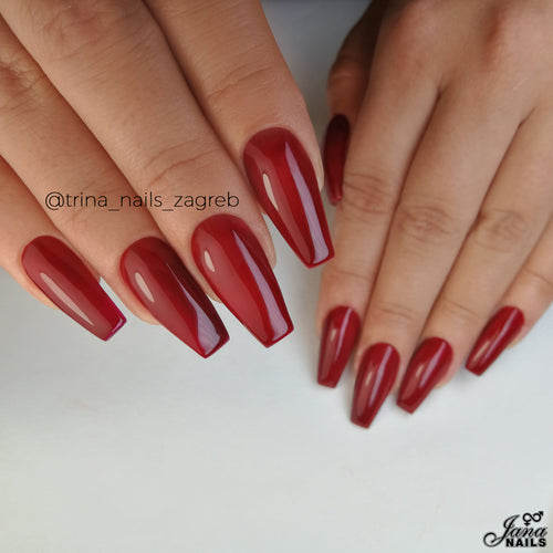 Genie In A Bottle - "Followme" - 5ml / "Influencer Collection"